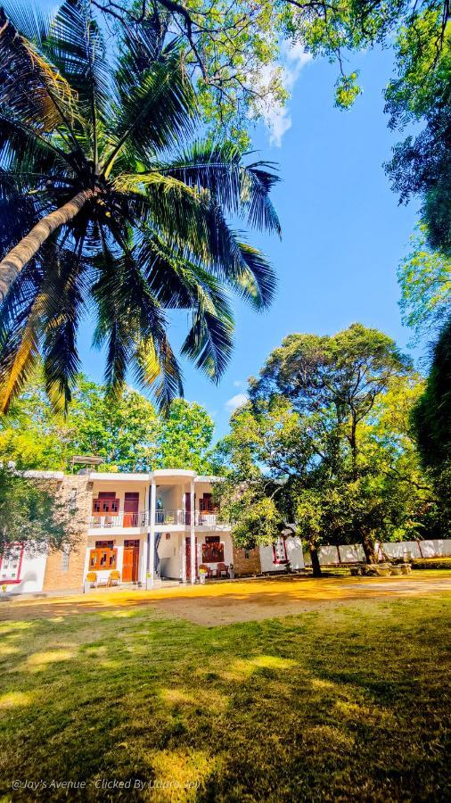 Jay'S Avenue Hotel Udawalawe Exterior photo
